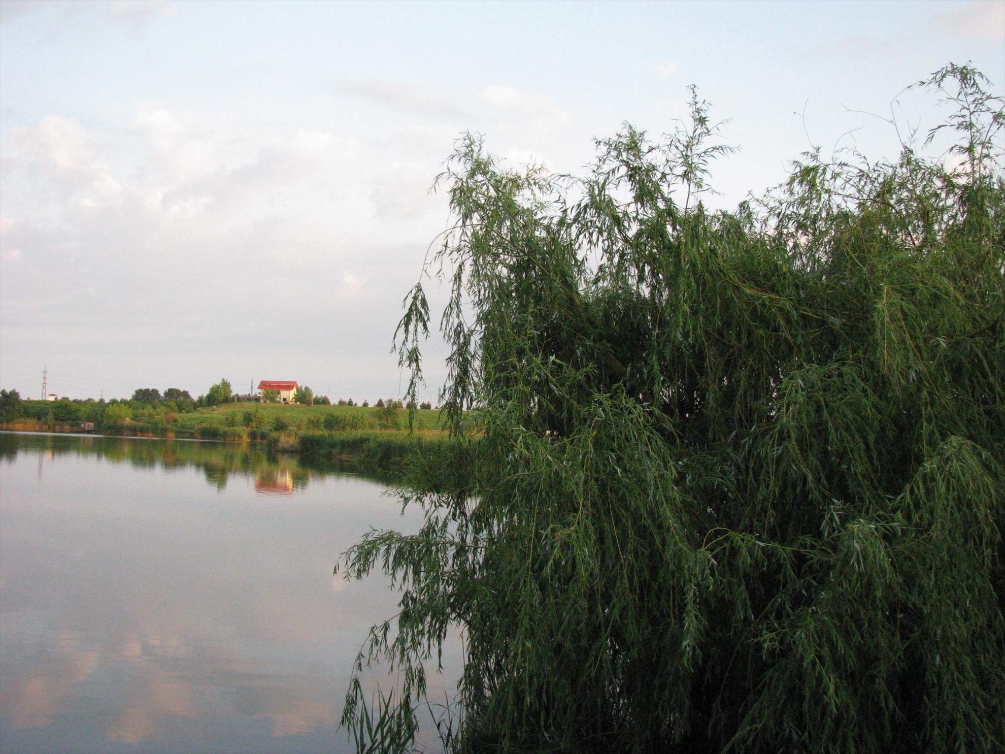 Poze 19-21.05.2012 Tancabesti Avicola 2 - img0177.JPG